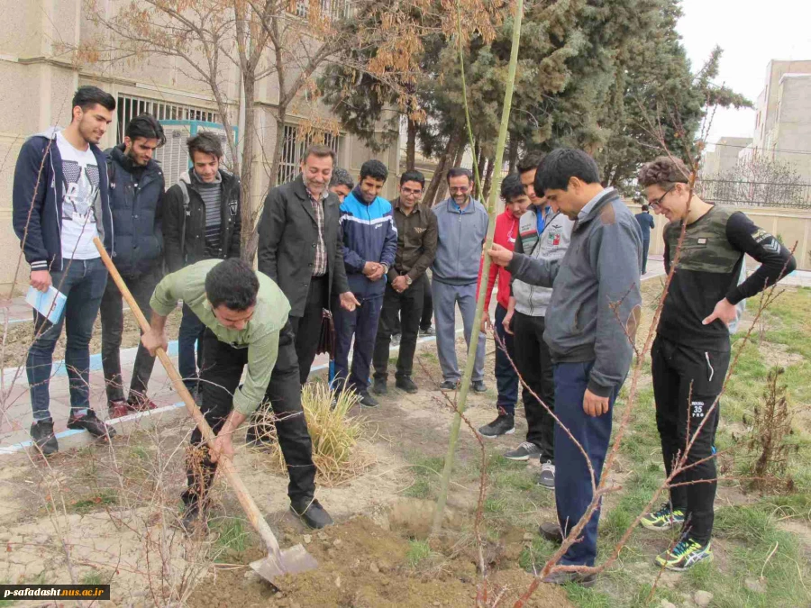 گزارش مراسم درختکاری در آموزشکده  2