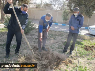 آیین گرامیداشت روز درختکاری اموزشکده تربیت بدنی امام علی (ع) صفادشت 2