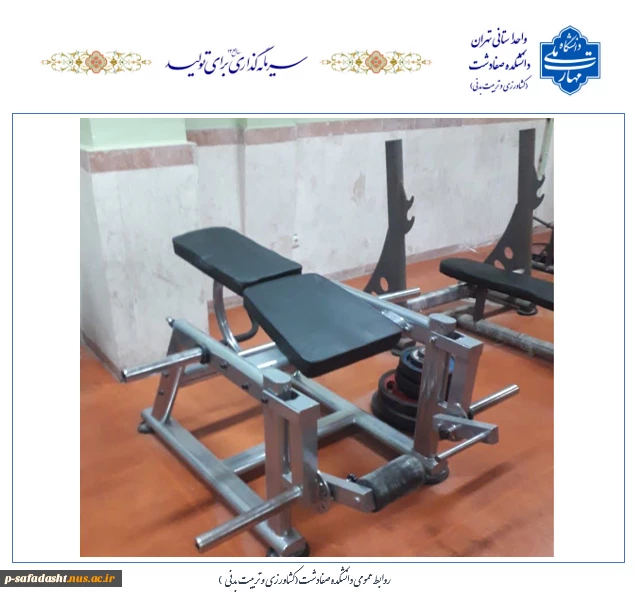 تجهیز و به روز رسانی تجهیزات ورزشی سالن وزنه گروه تربیت بدنی دانشکده صفادشت (کشاورزی - تربیت بدنی) 2